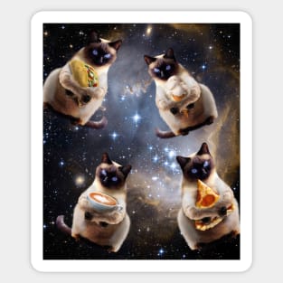 Space Galaxy Cat Pizza Taco Coffee Ice Cream Cats Sticker